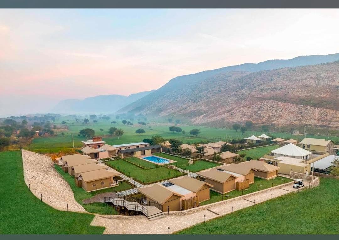 Sterling Rewild Sariska