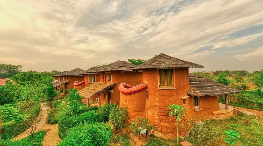 The Earth Ranthambore