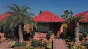 Puratan Qila Ranthambore thumbnail 5