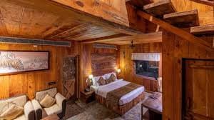 Ranthambore Bagh Palace thumbnail 3