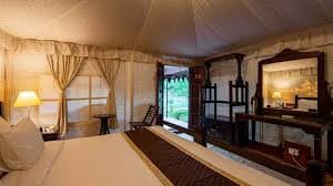 Jungle Cave Resort thumbnail 6