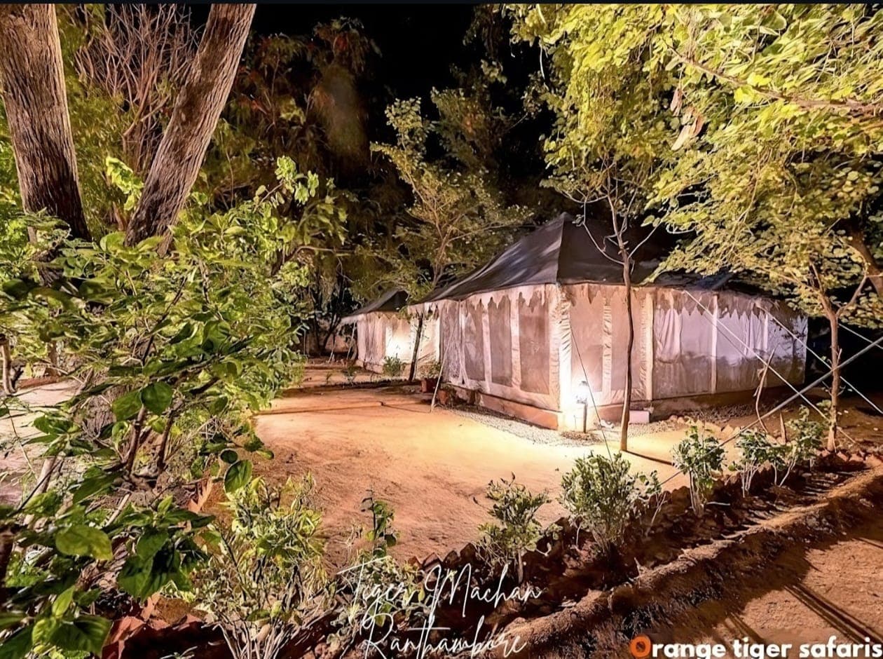 Ranthambore Tiger Machan Resort thumbnail 3