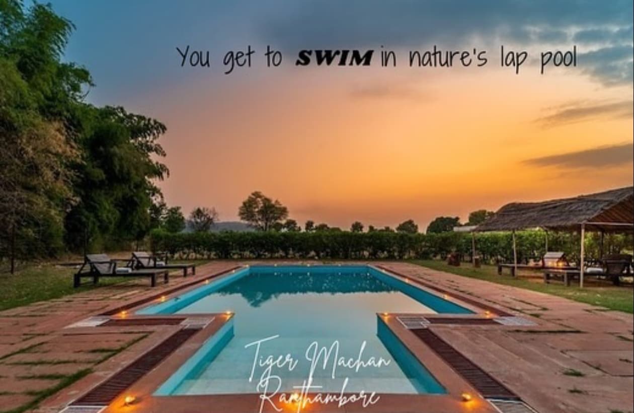 Ranthambore Tiger Machan Resort thumbnail 4