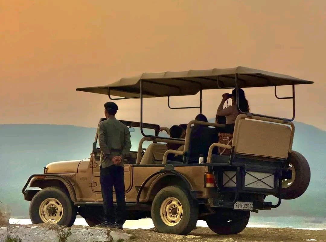 Roar of the jungle safari: Ranthambore & sariska tiger reserve with expert guide