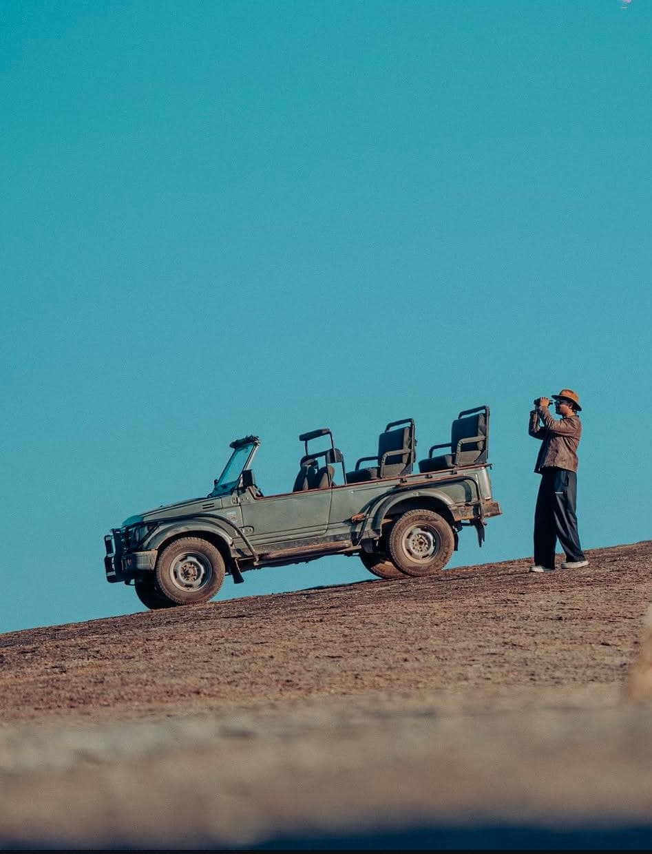 Jawai leopad safari photoghaphy tour