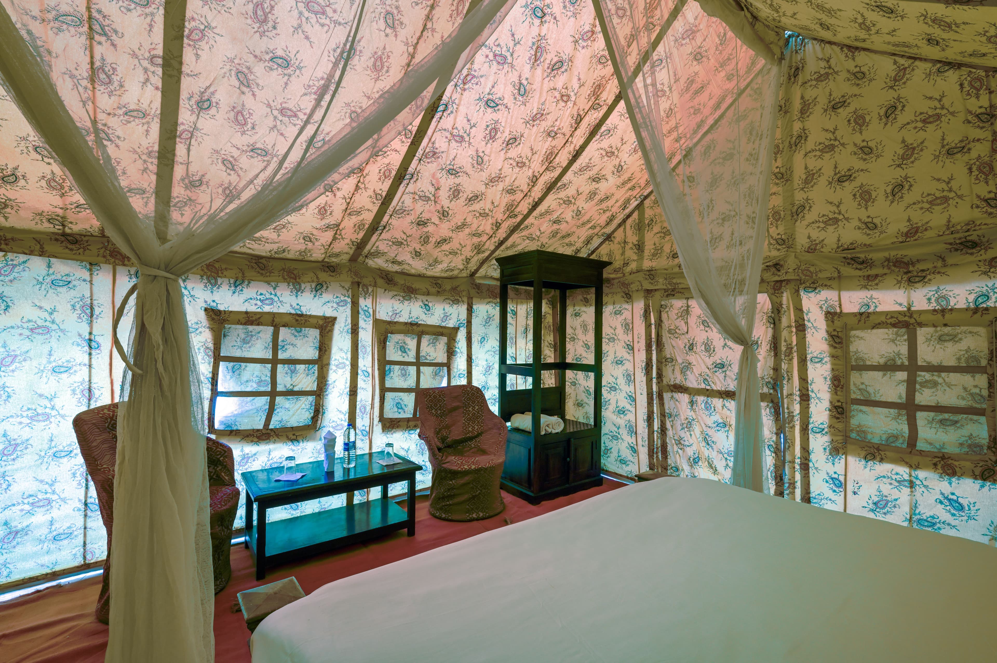 Ranthambhore holiday package — photo 6