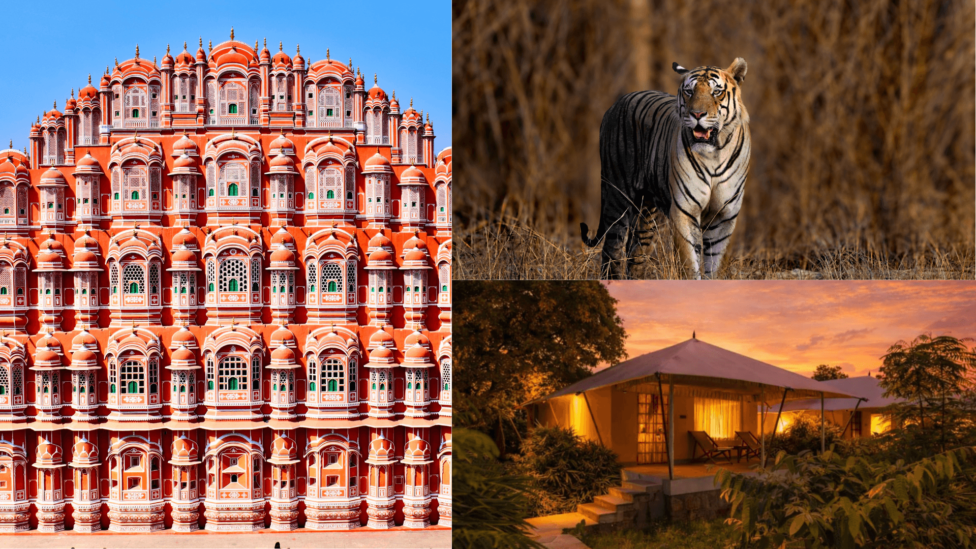 Jaipur & Ranthambore Wildlife Tour