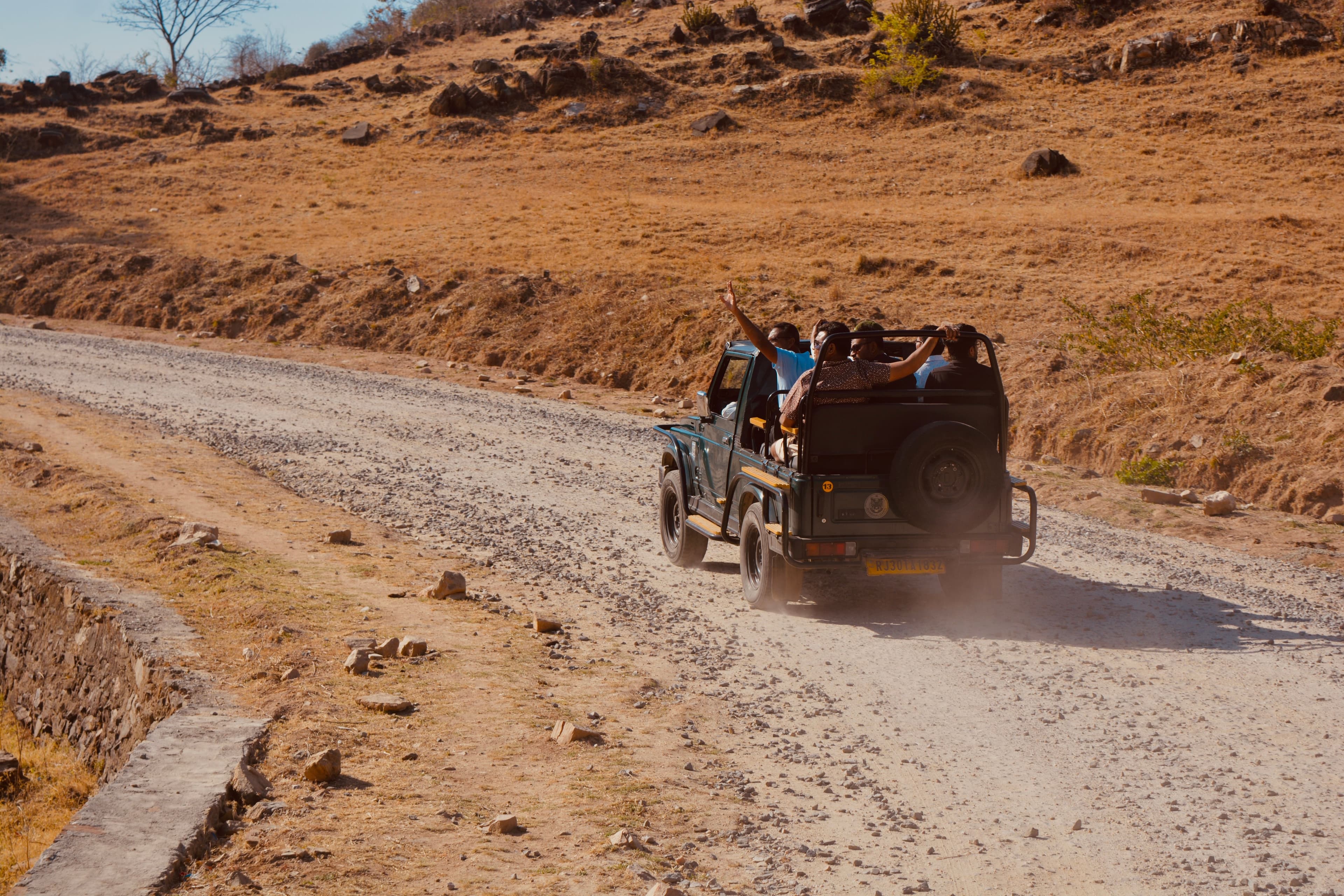 Jawai leopard safari photoghaphy tour — photo 7