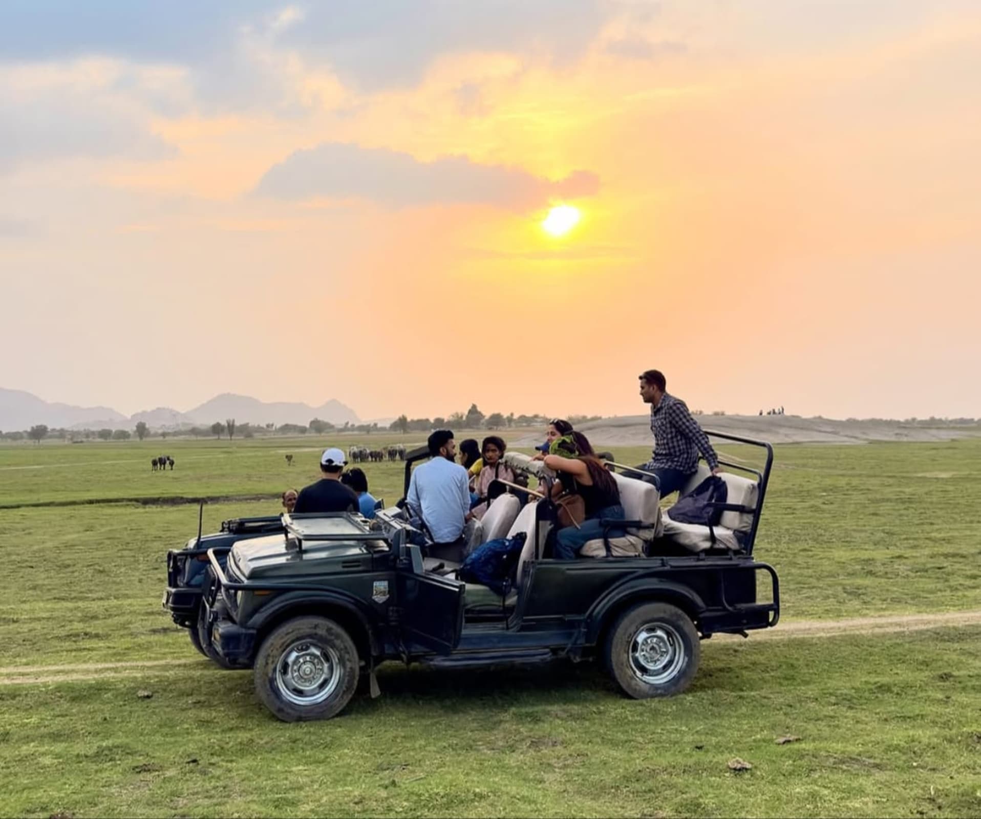Jawai leopard safari photoghaphy tour