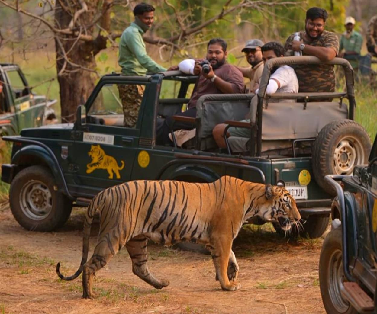 1 Day Ranthambore: gypsy or canter safari