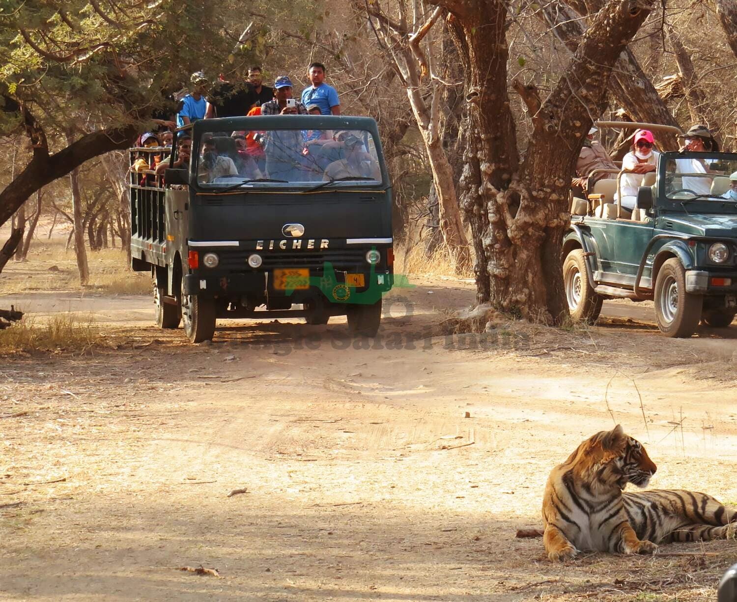 Ranthambore Canter Safari